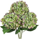 Villa Como 22" Green Hydrangea Artificial Flowers with Large Blooms | 3PCS Faux Hydrangea Flowers Silk Fake Hydrangeas with Stems for Vase, Home, Farmhouse, Wedding, Table Centerpieces Decor