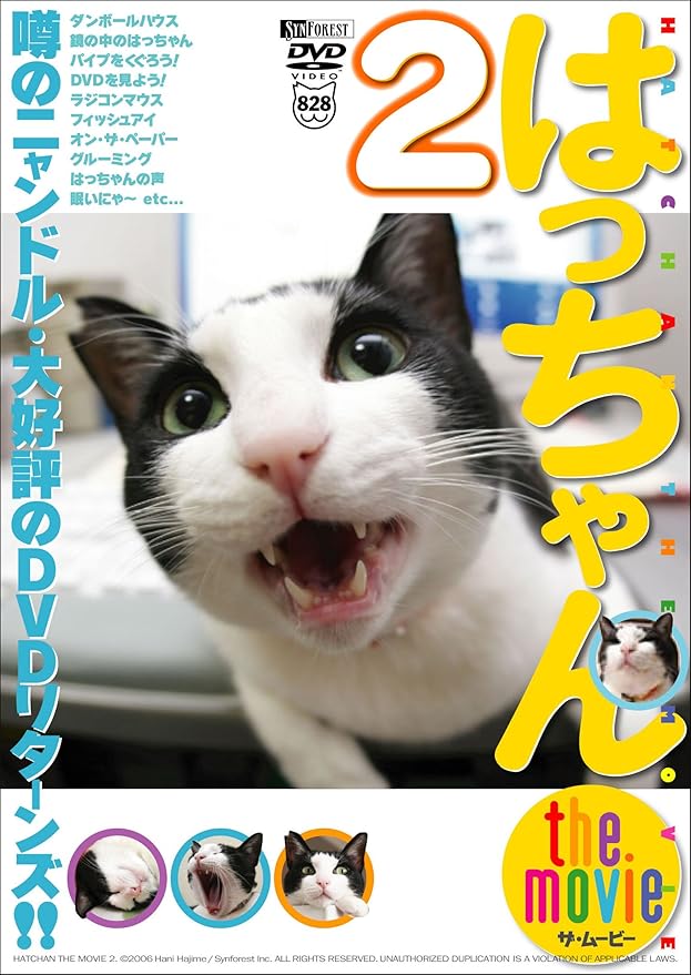 Amazon Co Jp シンフォレストdvd はっちゃん The Movie 2 噂のニャンドル 大好評のdvdリターンズ はっちゃん Dvd