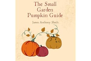 The Small Garden Pumpkin Guide: Choosing Planting and Harvesting for Maximum Yield and Flavor