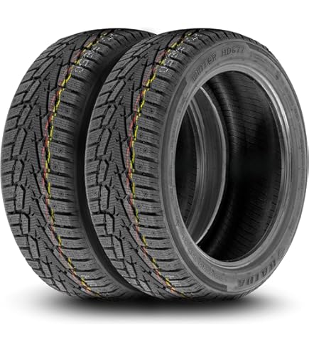 Bridgestone BLIZZAK DM-V2 Winter Radial Tire - 225/65R17 102S