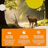 Floppy Ear Deer Antler Chew Extra Large 240-300g Dog Treat view 7