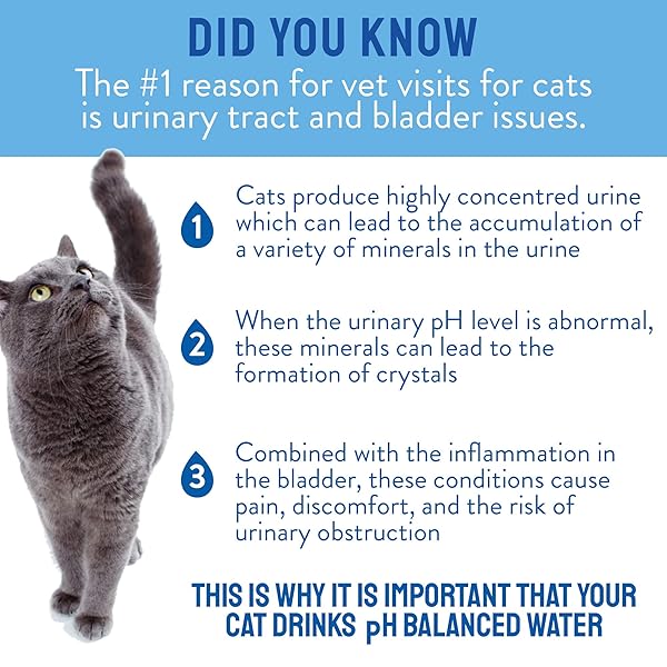 CATWATER BY VETWATER | PH-BALANCED AND MINERAL-FREE CAT WATER | CLINICALLY PROVEN URINARY FORMULA | HELPS PREVENT CAT URINARY ISSUES, FLUTD | 135.2 OZ, 2-PK, CLEAR (CW60101-2)