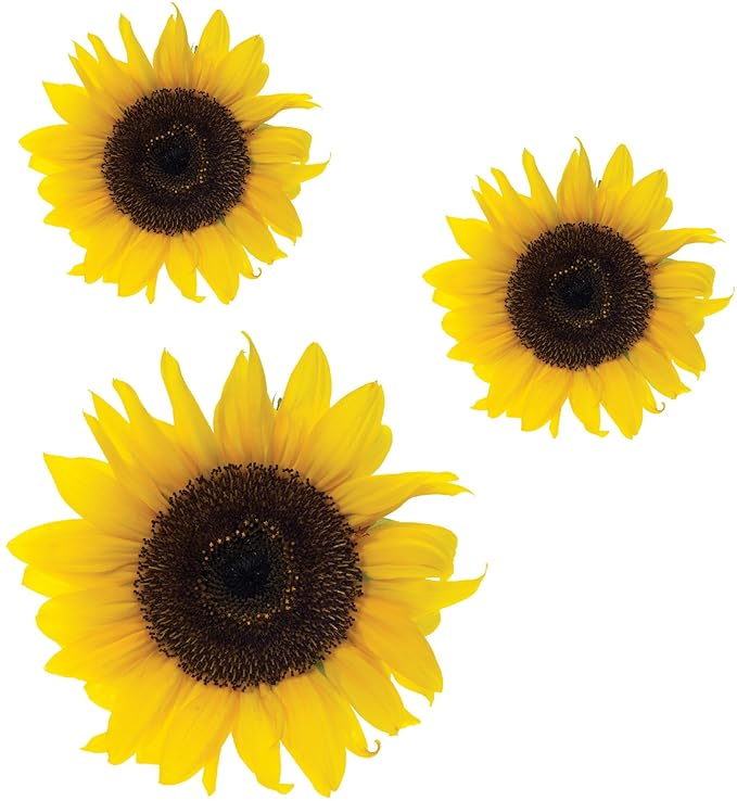Sunflower flower Stickers,car, van, wall art, laptop Wheelie Bin Fridge