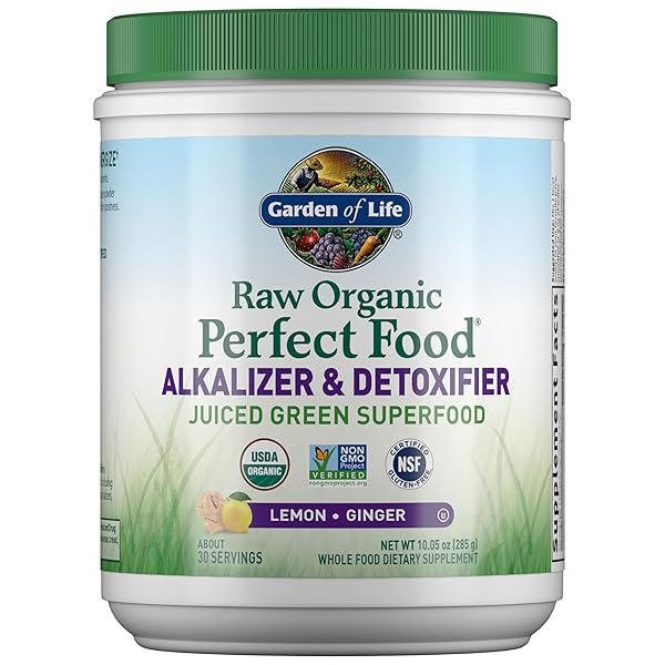 GARDEN OF LIFE RAW ORGANIC PERFECT FOOD ALKALIZER AND DETOXIFIER, LEMON GINGER FLAVORED SUPERFOOD POWDER SUPPLEMENT, 30 SERVINGS
