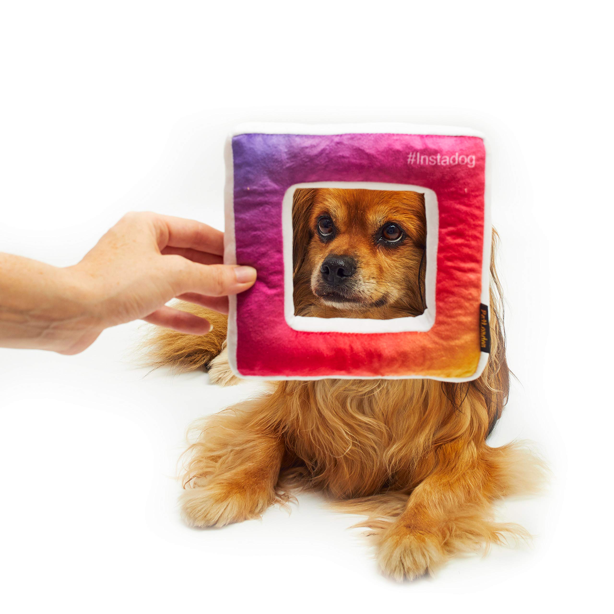 Pet London Insta Square Frame Dog Toy #Selfie Social Media Photo Parody Dog Toy - 7" Multicoloured Soft Plush Dog Toy
