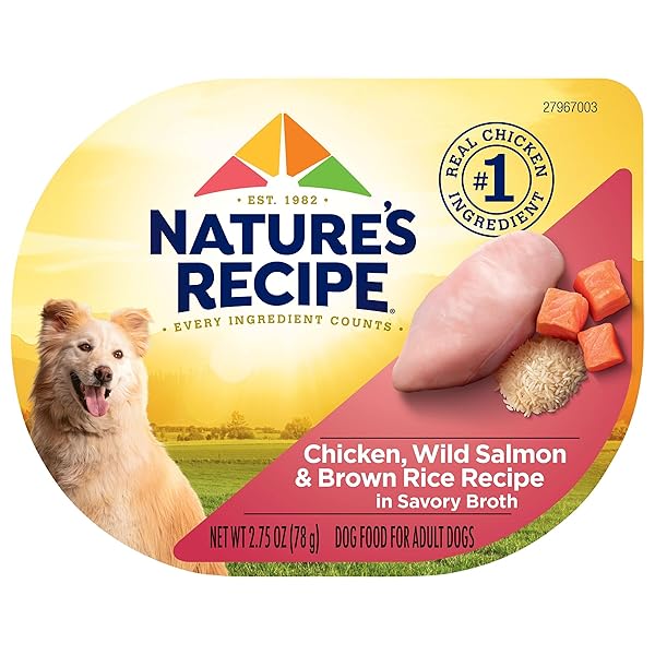 NATURE’S RECIPE WET DOG FOOD, CHICKEN & WILD...