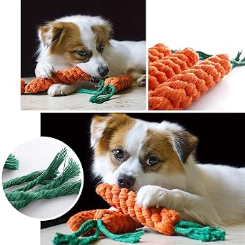 Sage Square Chewing Biting Tug Rope Toy for Dogs