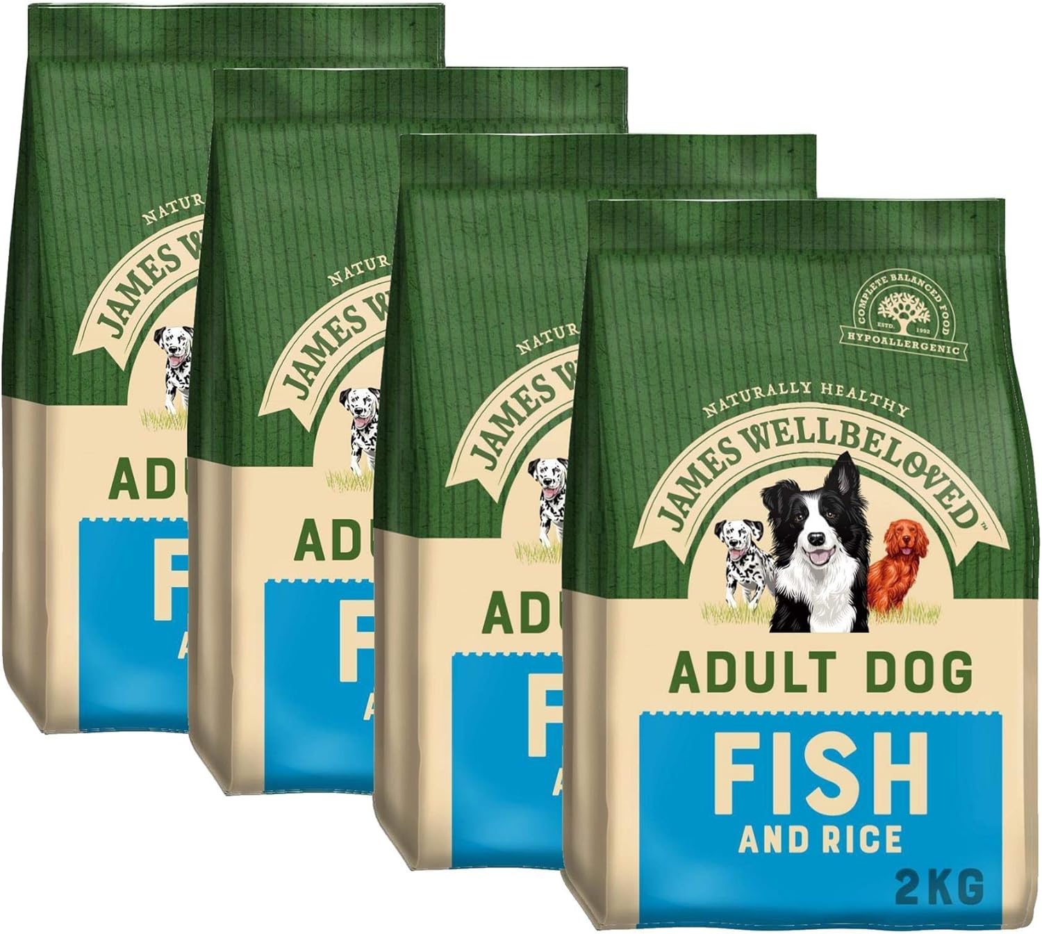 black and white boxer pit mix