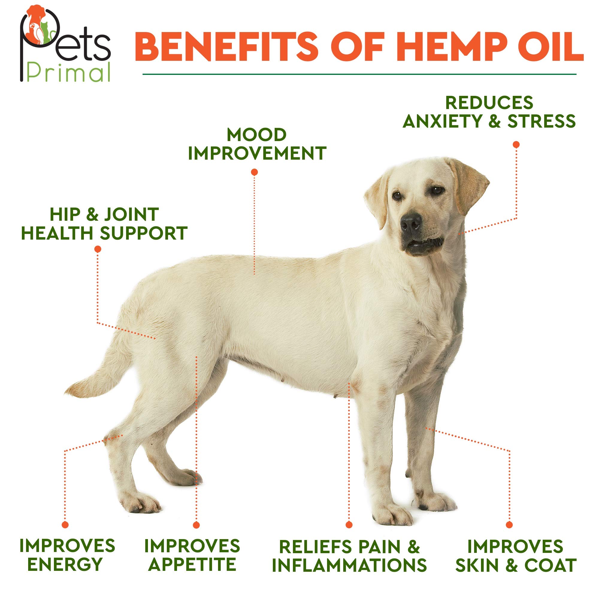 Hemp Oil for Dogs & Cats - Full Spectrum Hemp Extract, Grown & Made in USA -100% Natural Organic Pet Hemp Oil - Supports Hip & Joint Health, Pain Relief, Anti-Anxiety - 350MG with Omega 3, 6