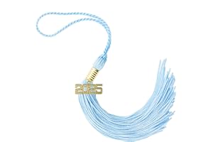 TASSEL DEPOT 2025 LtBlue Graduation Tassel - Every School Color Available -Made in USA