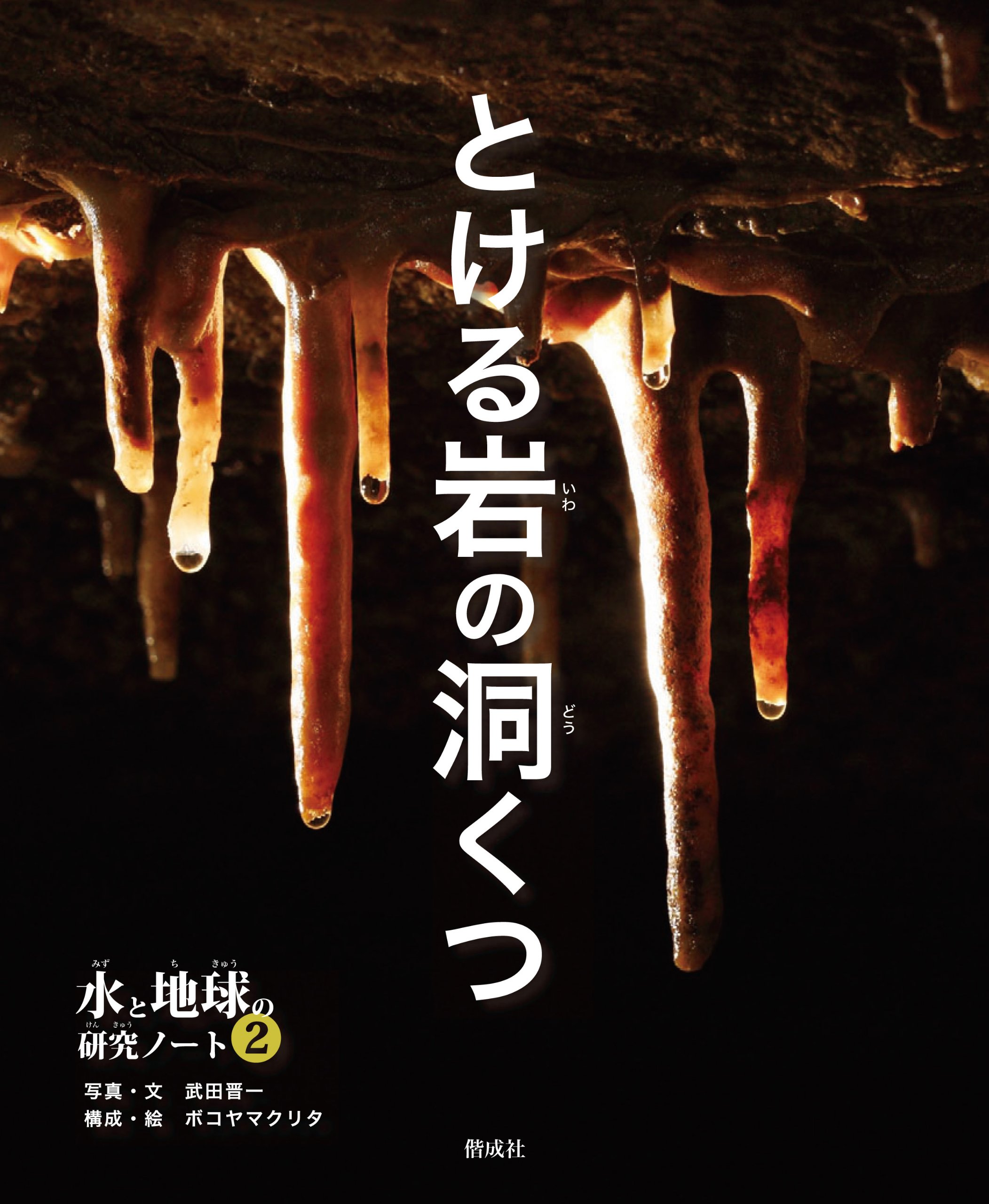 とける岩の洞くつ 水と地球の研究ノート 武田 晋一 ボコヤマ クリタ 武田 晋一 本 通販 Amazon