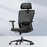 FLEXISPOT OC3 Cloud Ergonomic Office Chair High