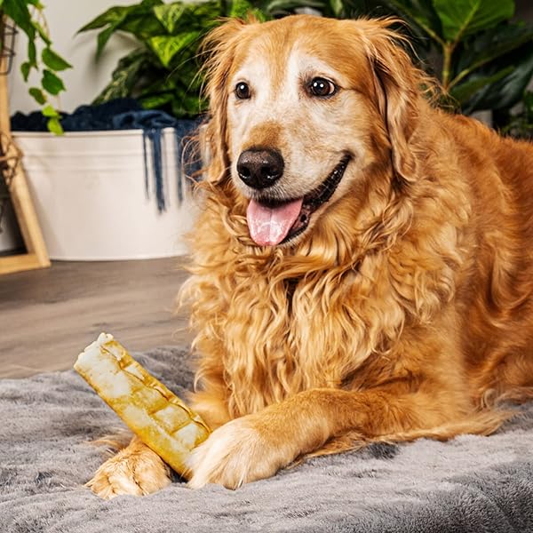 PET FACTORY AMERICAN BEEFHIDE 7″ ROLLS DOG CHEW TREATS – CHICKEN FLAVOR, 4 COUNT/1 PACK