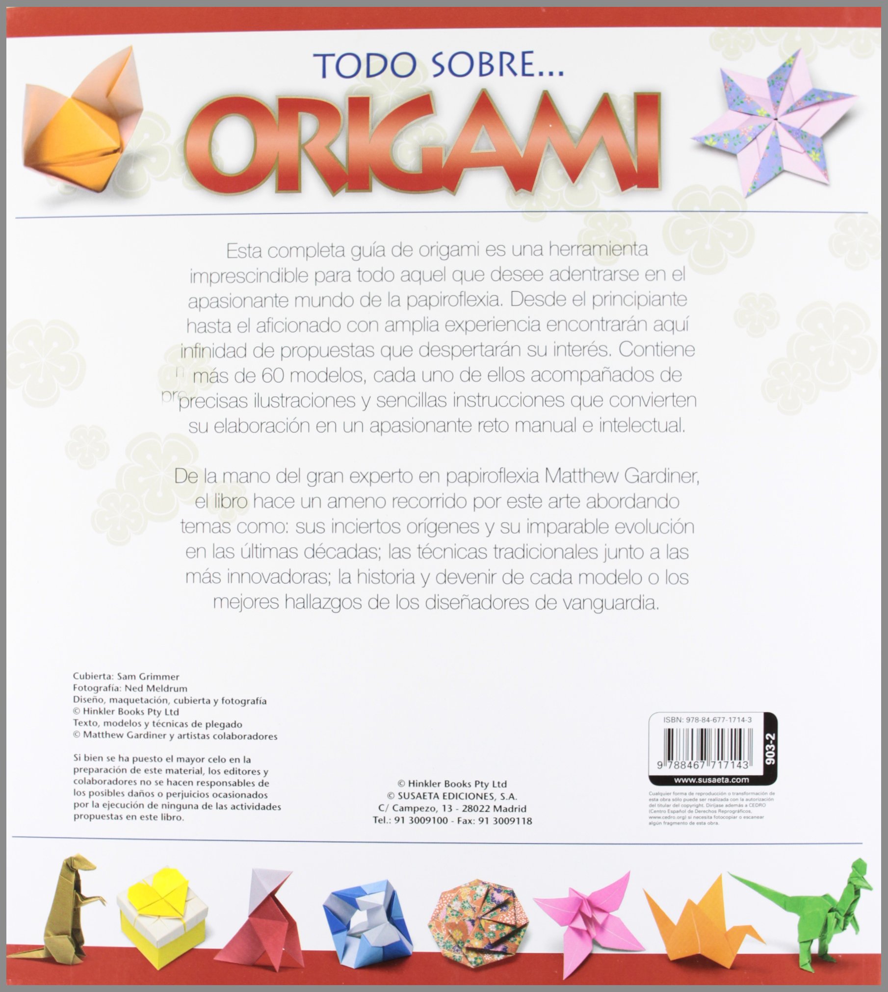 Origami Spanish Edition 9788467717143 Amazoncom Books