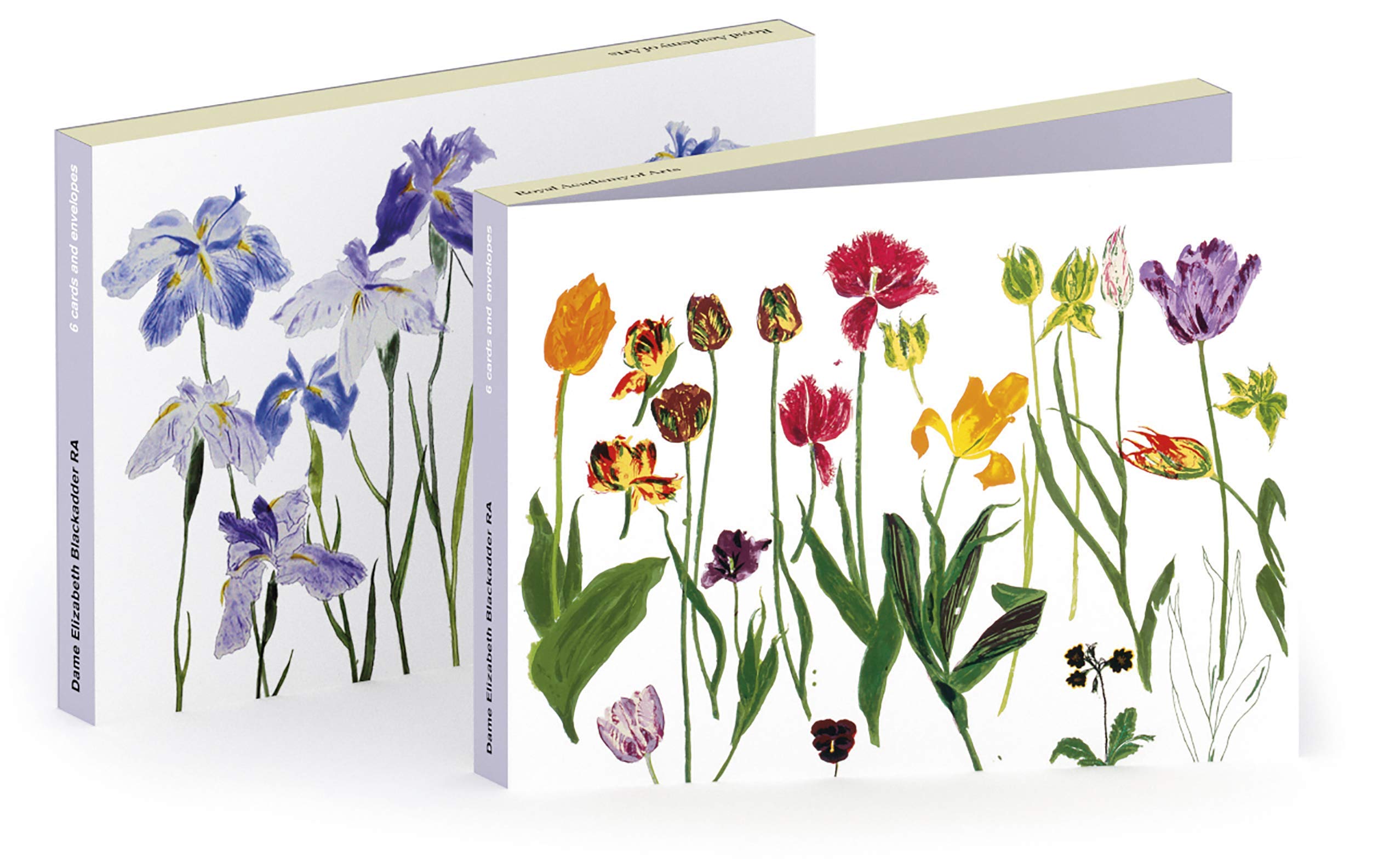 Royal Academy of Arts Elizabeth Blackadder Tulips and Irises Set of 6 Floral Art Greeting Cards (17 x 12 cm)
