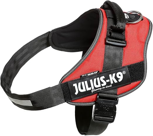 science diet cat food price