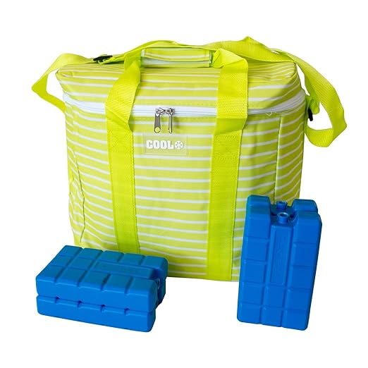 ToCi - Bolsa nevera 20 litros cal hombro asas y 4 Acumuladores de ...