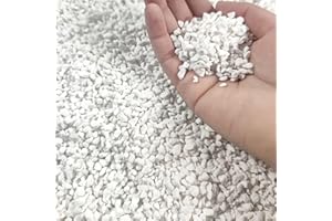 MDPQT 2 QT Professional Grade Horticultural Organic Perlite (2 QT, Perlite)