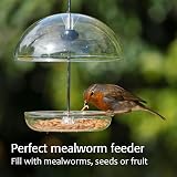 Jacobi Jayne I Love Robins Pearl Feeder Small Garden Bird Feeder view 2