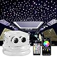 ATOKEE Fiber Optic Lights, 16W Dual Port Twinkle Starlight Headliner Kit for Car Ceiling Home Use, 800pcs*0.03in*9.8ft Car Star Lights with APP/Remote Control
