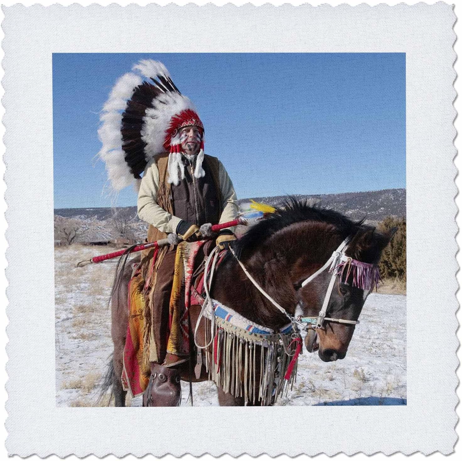 3dRose qs_92657_4 Native American Indian, Alcalde, New
