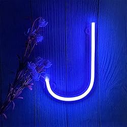 ENUOLI Blue Neon Letter Sign Neon Words Battery/USB