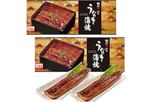 EARTHINK Roasted Eel Unagi Kabayaki - Eel Dipped in Soy Sauce and Broiled Unagi Kabayaki 110g (Pack of 2) Made in Japan