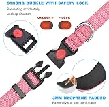 haapaw Reflective Dog Collar with Neoprene Padding Adjustable Nylon view 3