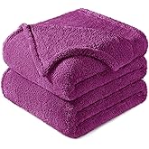 Exclusivo Mezcla Queen Size Blanket for Bed, Super Soft Velvet Plush Fleece Blankets, Fuzzy Cozy and Warm for Winter, 90x90 Inches, Purple