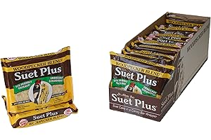Suet Plus Woodpecker Blend Suet Cake, Case of 12