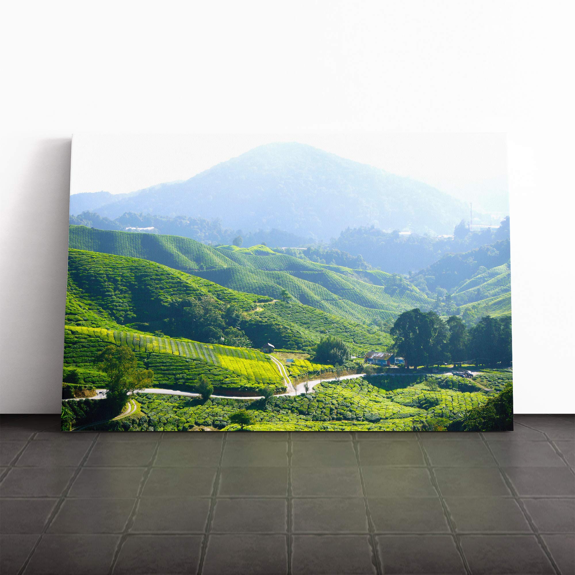 Landscape Tea Plantation Kuala Lumpur Malaysia Canvas Print | Gallery Wrapped 30mm Frame Wall Art | 20x14 inches | Ready to Hang | Modern Landscape Picture | Living Room Bedroom Lounge Office