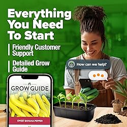 HOME GROWN