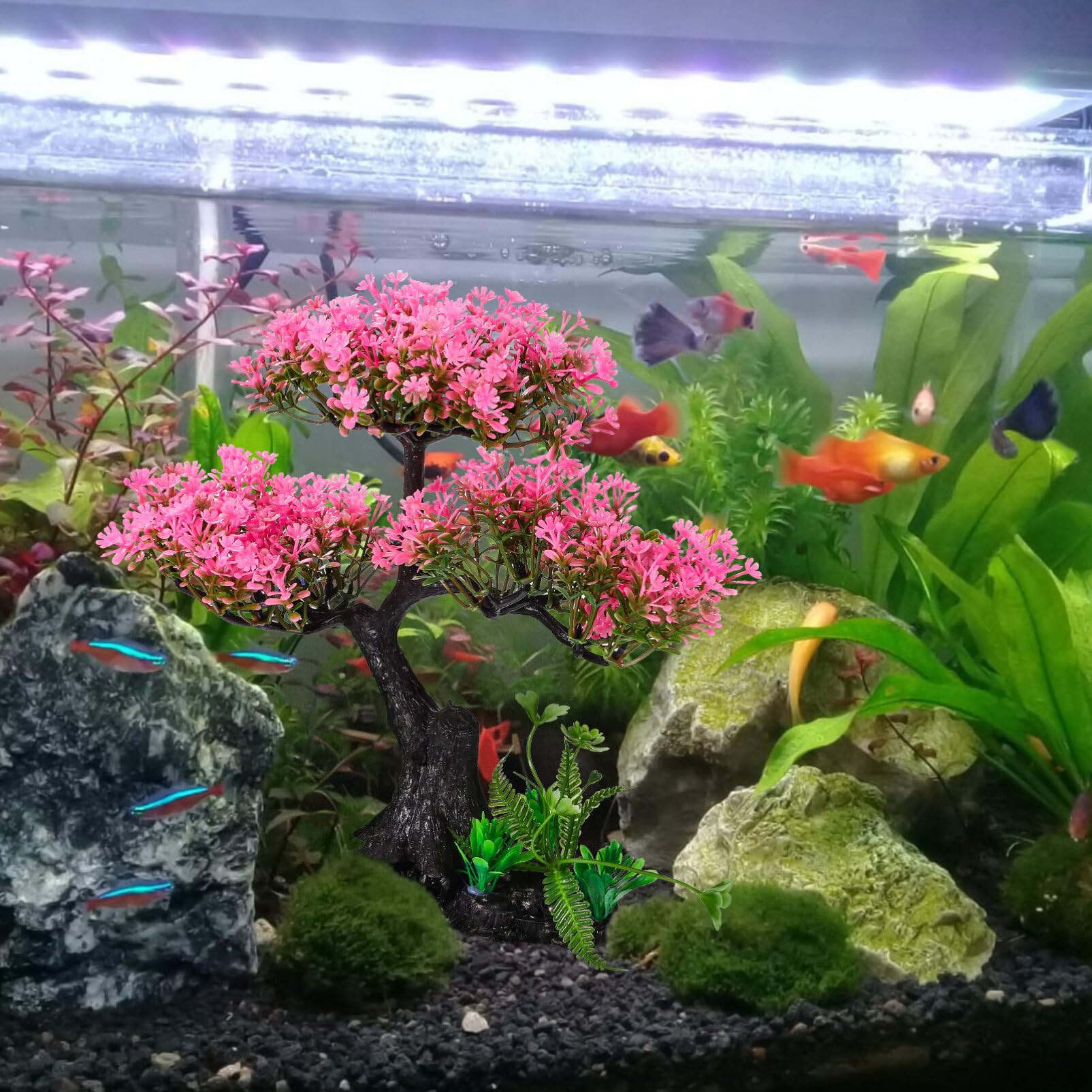 View 7