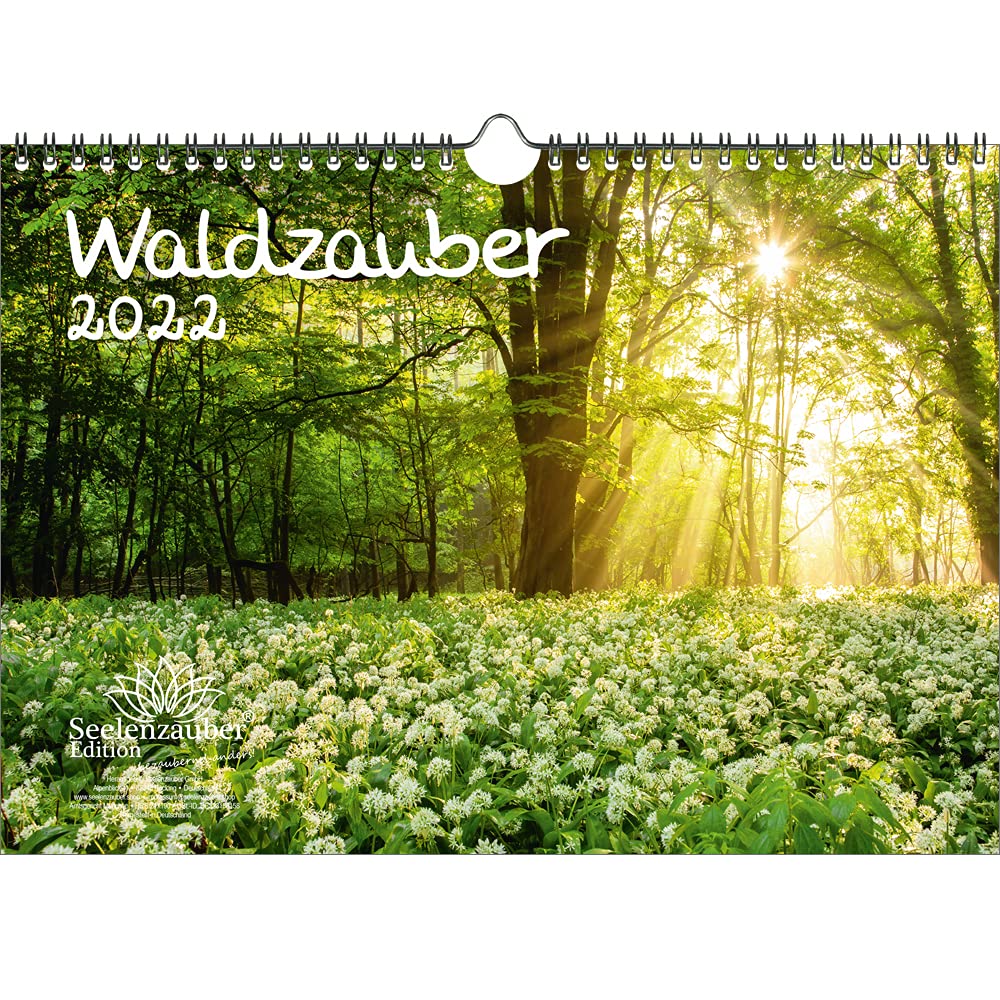Waldzauber DIN A4 Calendar for 2022 Forest - Soul Magic