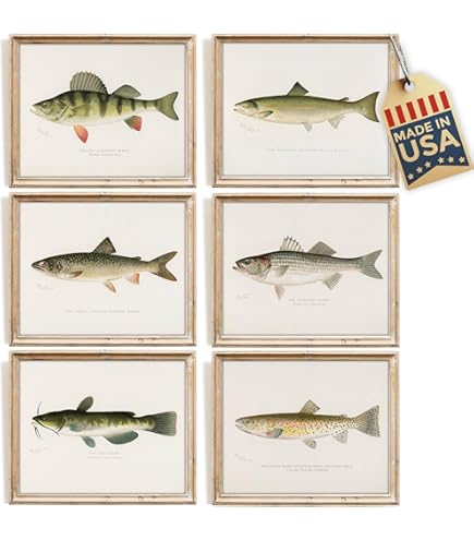 Amazon.com: Apple Creek Vintage Heddon Fishing Lure Patent Print Poster 11x17 Muskie Fish Cabin Wall Art Decor: Posters & Prints Amazon.com: Apple Creek Vintage Heddon Fishing Lure Patent Print Poster 11x17 Muskie Fish Cabin Wall Art Decor: Posters & Prints