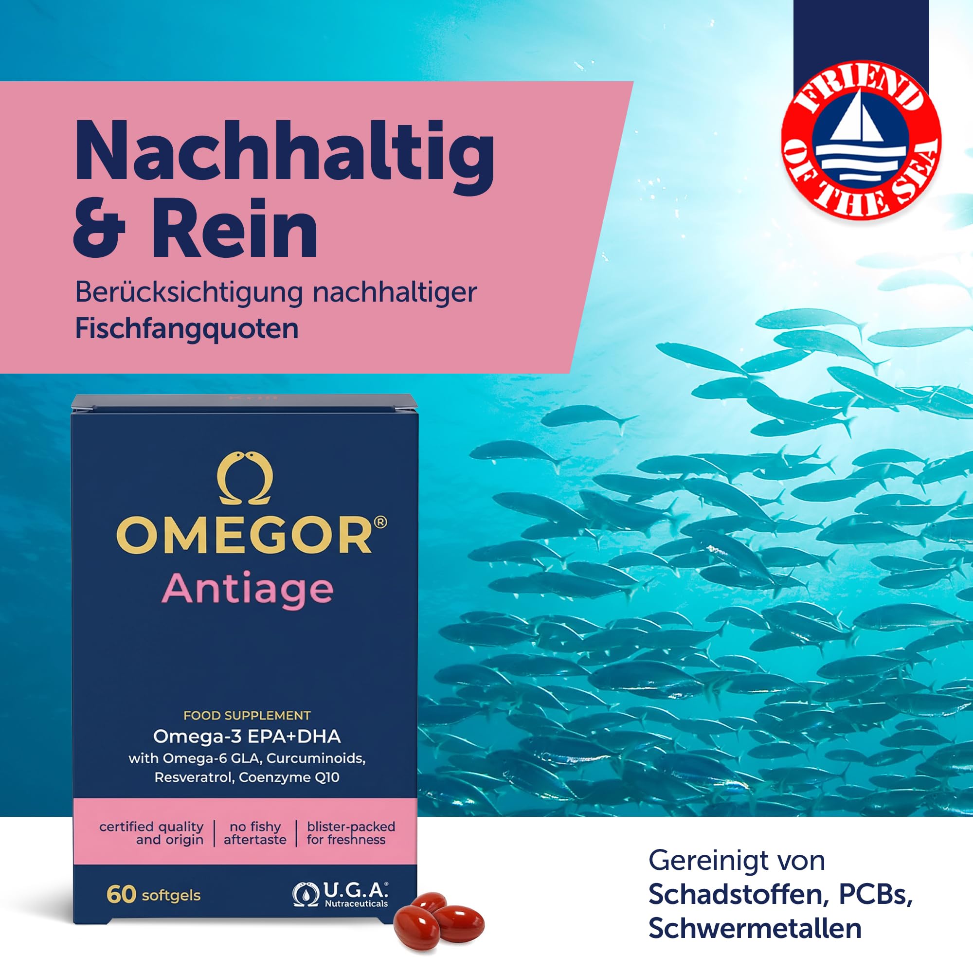 OMEGOR Anti-Aging – Omega 3 Kapseln mit EPA/DHA & Omega 6 GLA – Fischöl Kapseln mit Resveratrol, Kurkuma, Alpha-Liponsäure, Coenzym Q10 – Omega-3 Supplement für Haut & Gelenke – 60 Kapseln 6