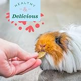 Oxbow Natural Science Vitamin C Support for Small Animals Guinea Pig view 4
