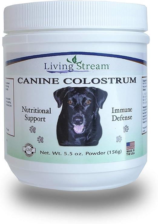 best dog microchip registry