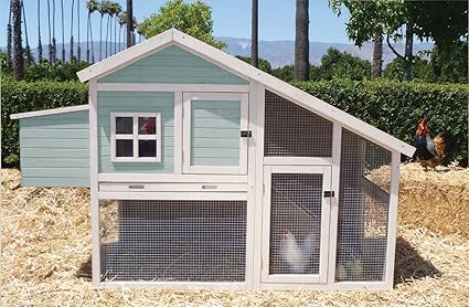 Amazoncom Precision Pet Nantucket Chicken Cooprabbit Hutch Pet