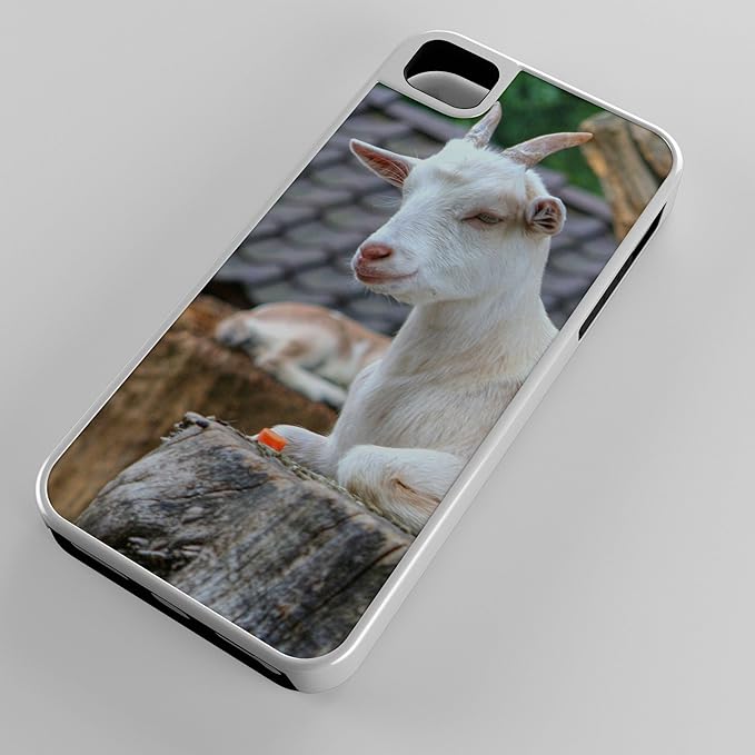 Amazon Com Iphone Case Fits Iphone 7 Plus 7 Hybrid Tough Case