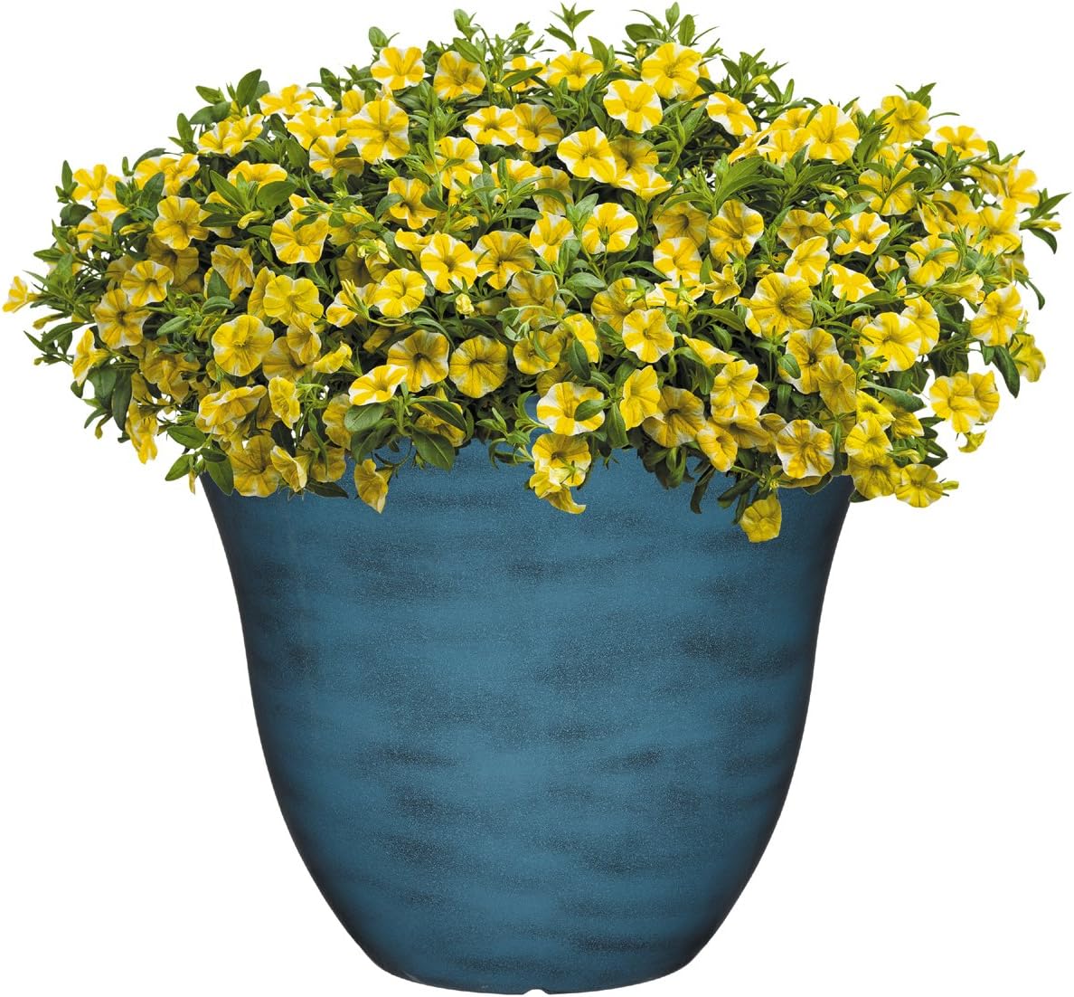 Classic Home and Garden Honeysuckle Planter, Patio Pot, 15" Blue Jean : Garden & Outdoor
