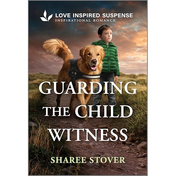 Theme Park Abduction (Love Inspired Suspense): Conway, Patsy