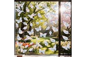 60 Pcs Window Decals to Prevent Bird Strikes - Anti-Collision Window Stickers for Birds, Rainbow Vinyl Suncatcher Stickers, R