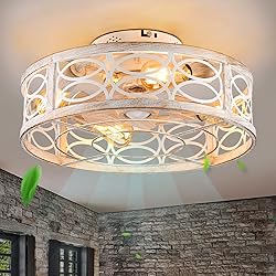 HUEOCZW 20" Caged Ceiling Fan with Light and
