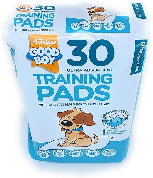 asda dog training pads