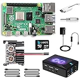 LABISTS Raspberry Pi 4 8GB RAM Starter Kit with 64GB Micro SD Card (8GB RAM)