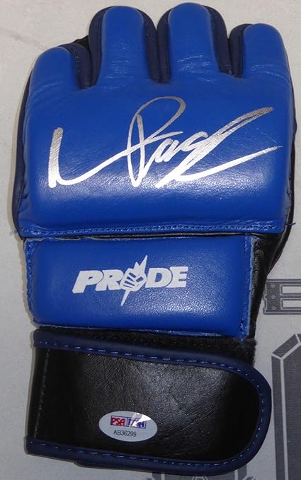 pride fighting gloves