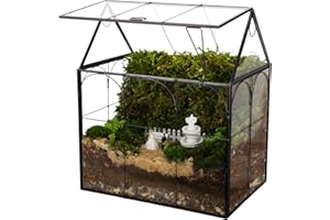 REDHUGO Handmade Large Glass Plant Terrarium with Lid, Glass Geometric Planter Terrarium Succulent & Air Planter for Home Garden Office Decoration, Mini Greenhouse Indoor, House Shape, Black