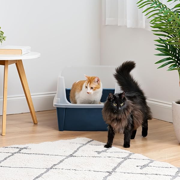 IRIS USA XX-LARGE OPEN TOP CAT LITTER BOX WITH HIGH SIDED WALLS TALL SCATTER SHIELD SCOOP INCLUDED EASY CLEAN PLASTIC PAN FOR BIG CATS KITTENS MULTI-CAT HOUSEHOLDS 30″L X 20″W X 14″H NAVY