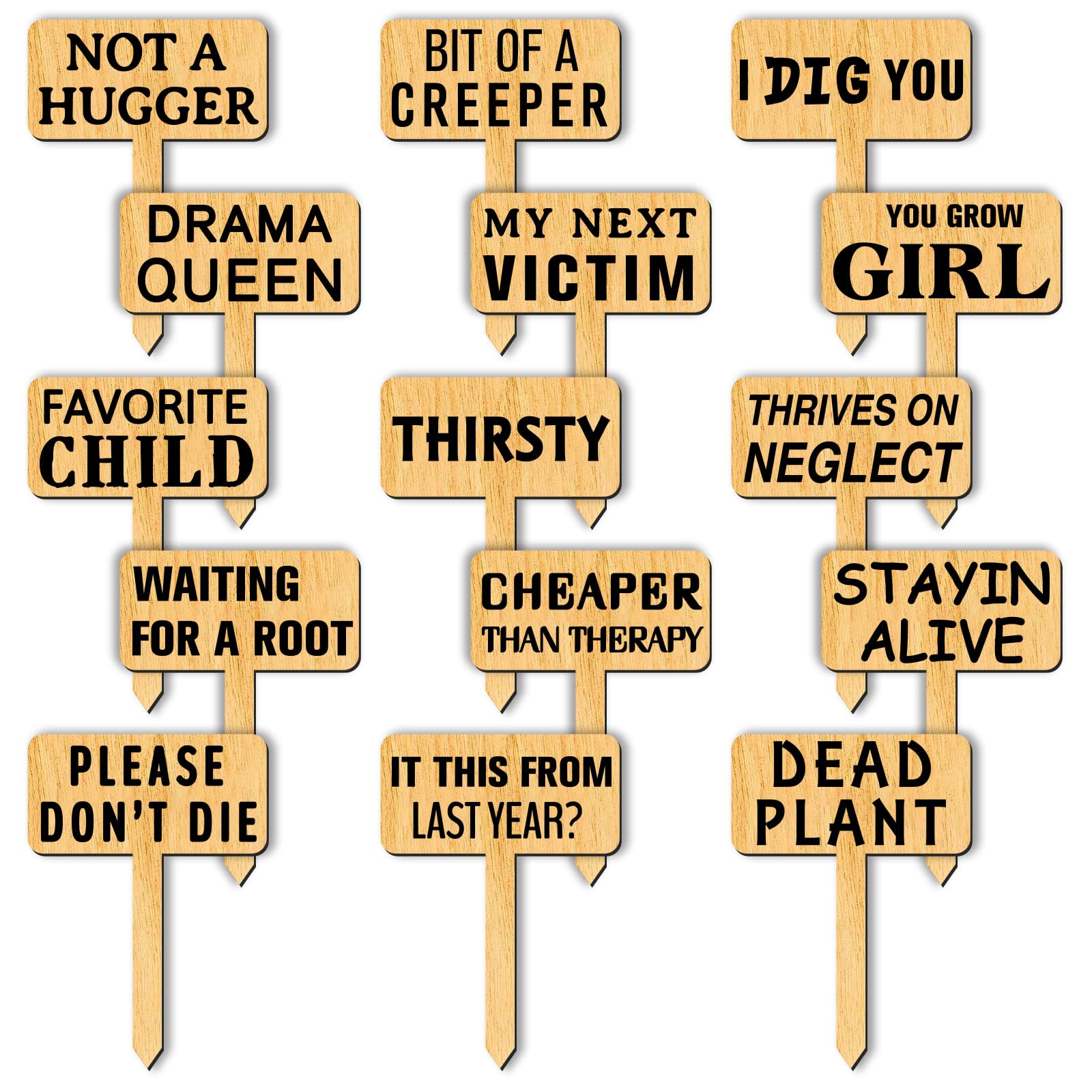 Arricraft 15 Pcs Funny Plant Markers, Wooden Garden Stakes T-Type Labels Funny Signs Tags for Indoor and Outdoor Potted Seed Herbs